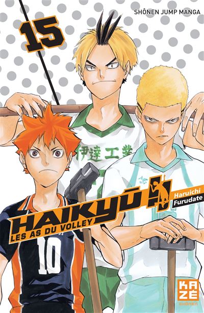 Haikyu !! - Les as du volley ball T15