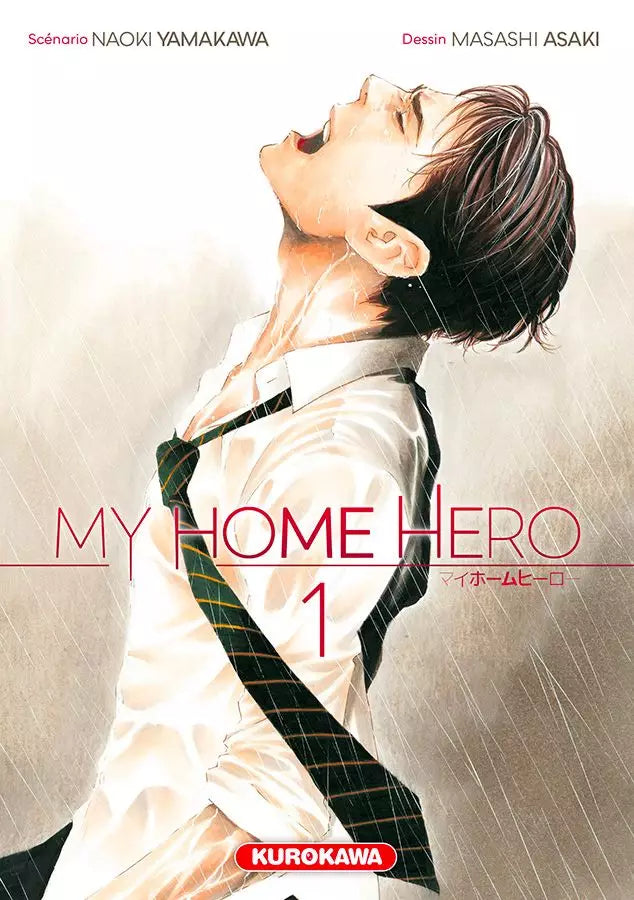 Occasion My home Hero T01