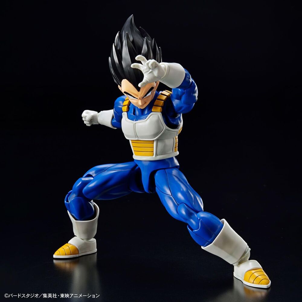 Dragon Ball Z Vegeta Model Kit
