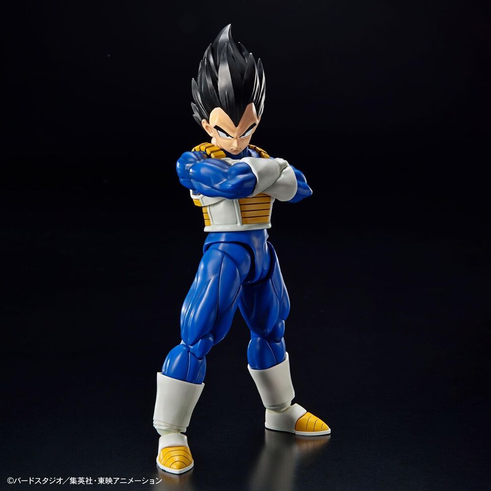 Dragon Ball Z Vegeta Model Kit