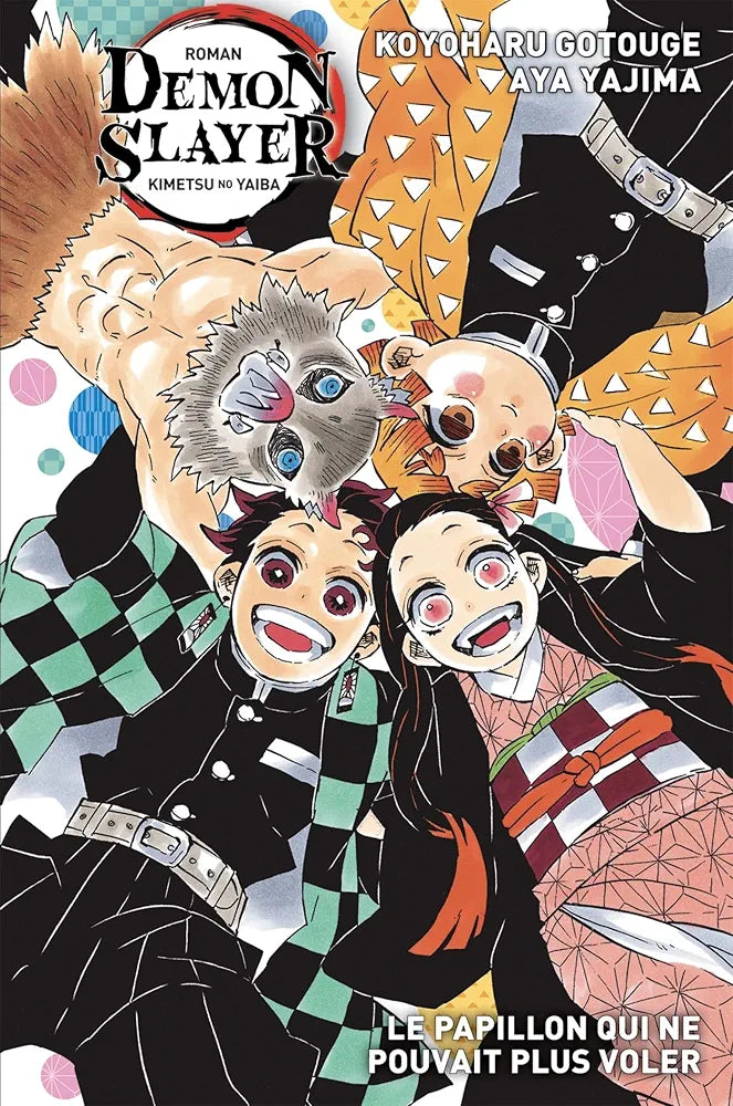 Occasion roman demon slayer le papillon qui ne pouvait plus voler