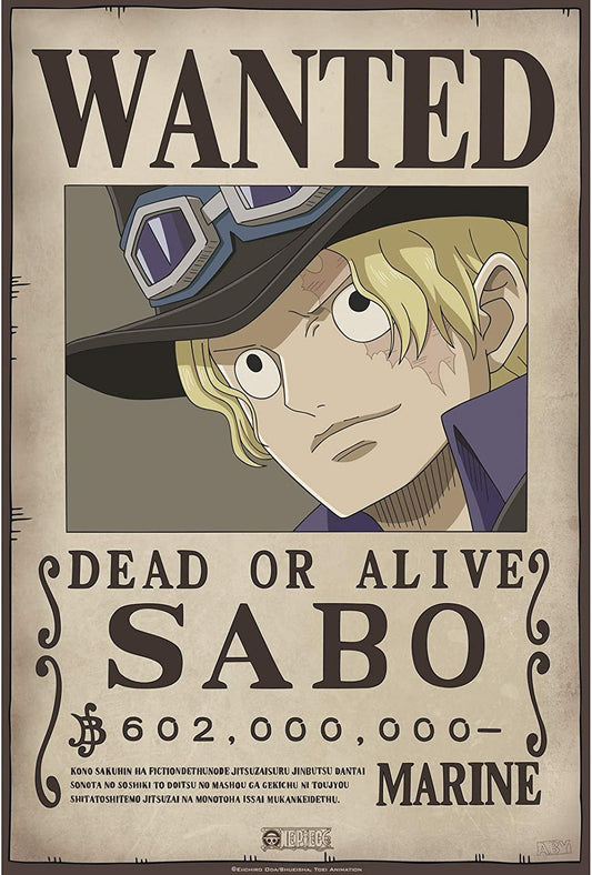 Mini Poster One Piece - SABO