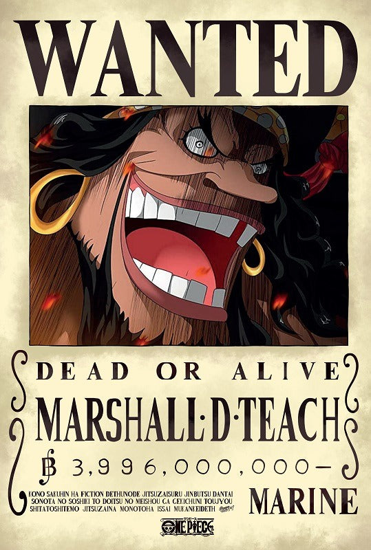 Mini Poster One Piece - BARBE NOIR