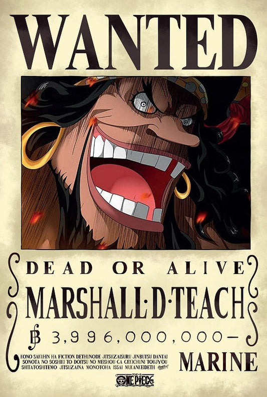 Mini Poster One Piece - BARBE NOIR