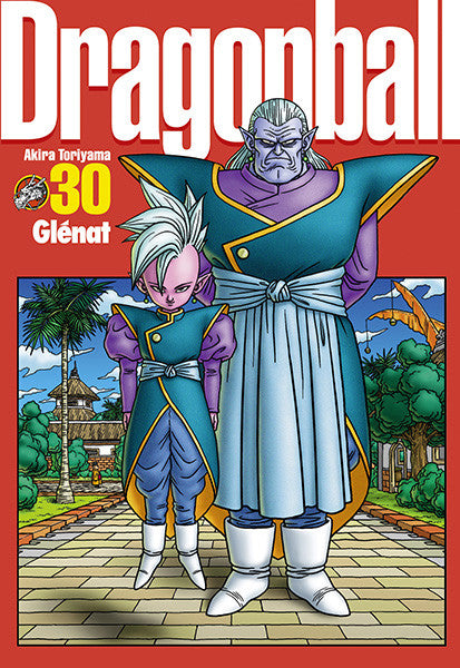 Dragon Ball - Perfect Edition T30