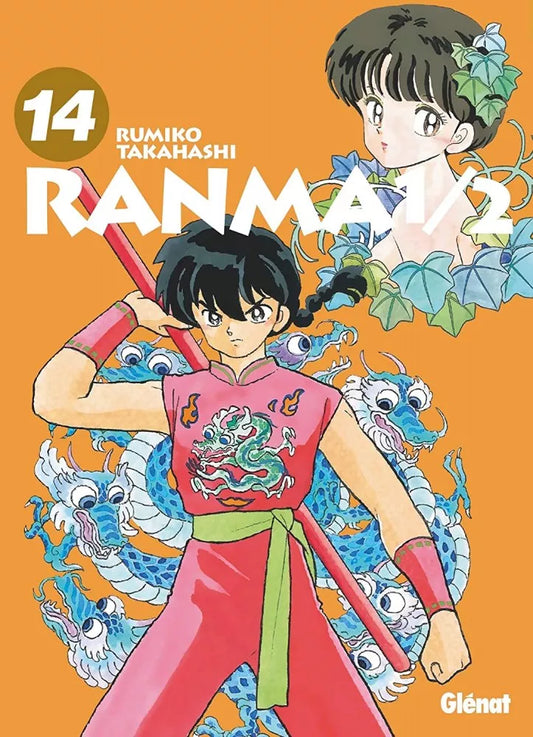Occasion Ranma 1/2 Perfect Edition T14