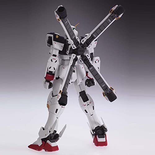 MG 1/100 RMS-106 Hi Zack - Model Kit - Bandai