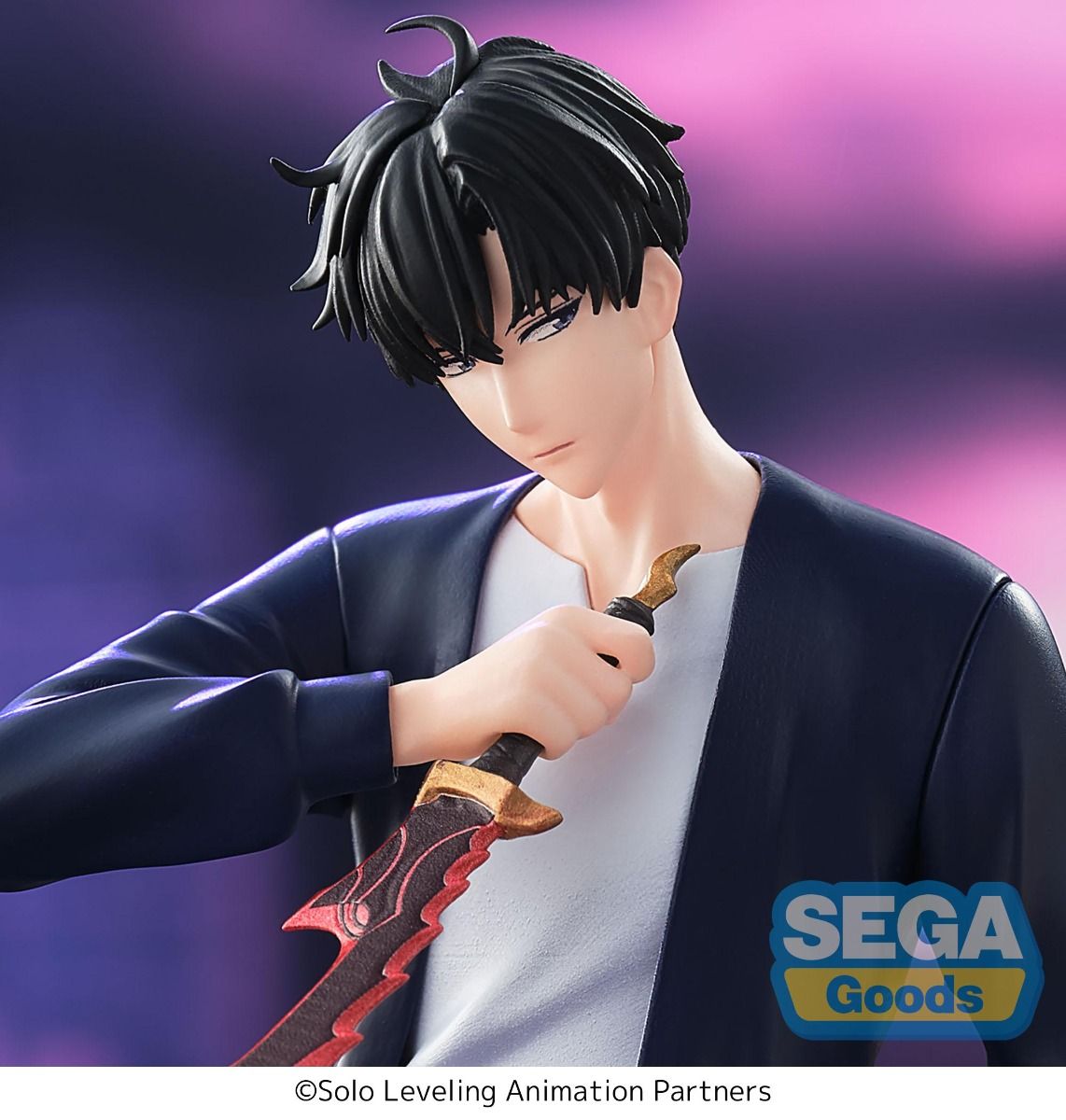 Solo Leveling - Sung Jinwoo - XrossLink - SEGA