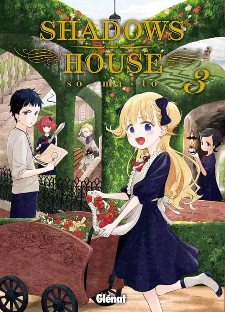 Occasion shadows house T03