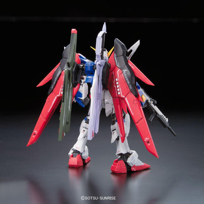 DESTINY GUNDAM 1/144 RG - Mobile suit ZGMF-X42S