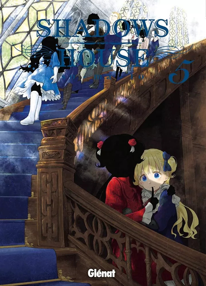 Occasion shadows house T05
