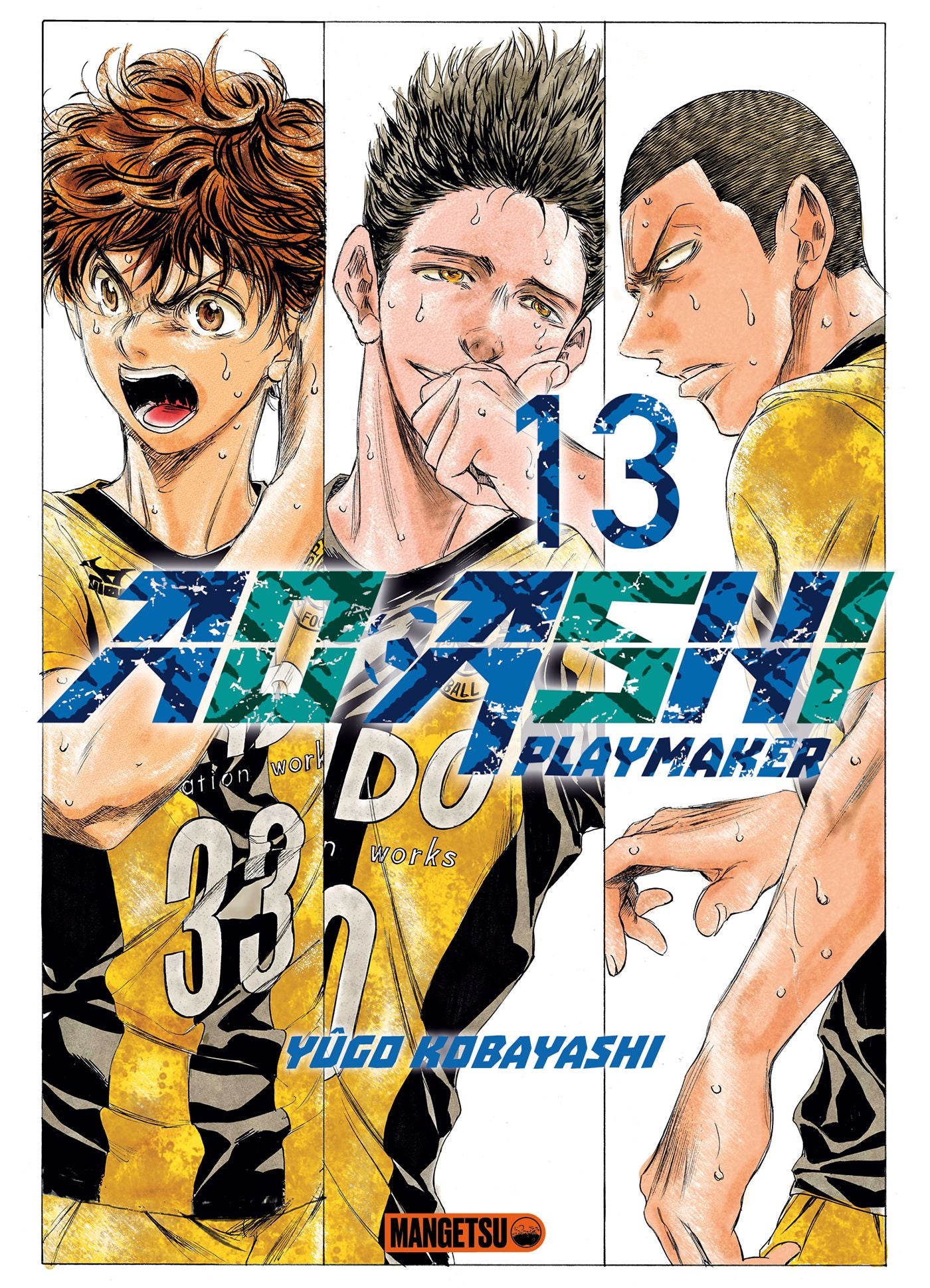 Ao Ashi Playmaker T13