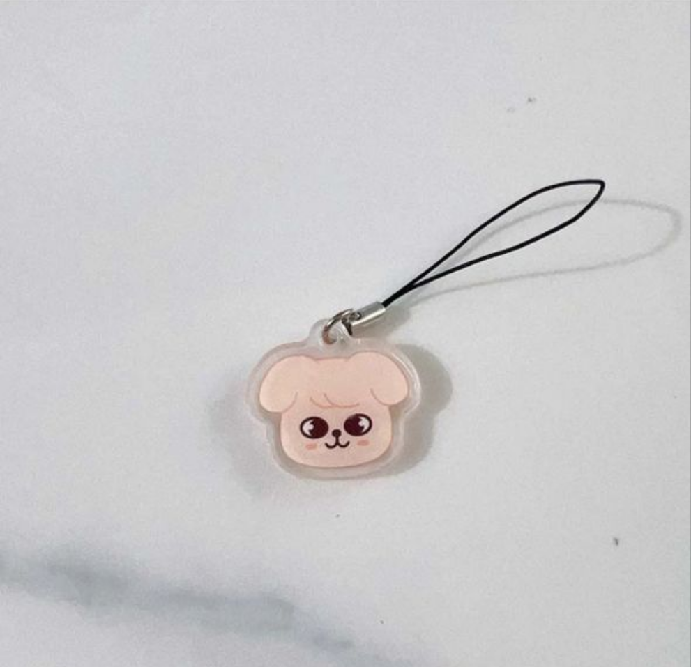 Phone strap  stray kids