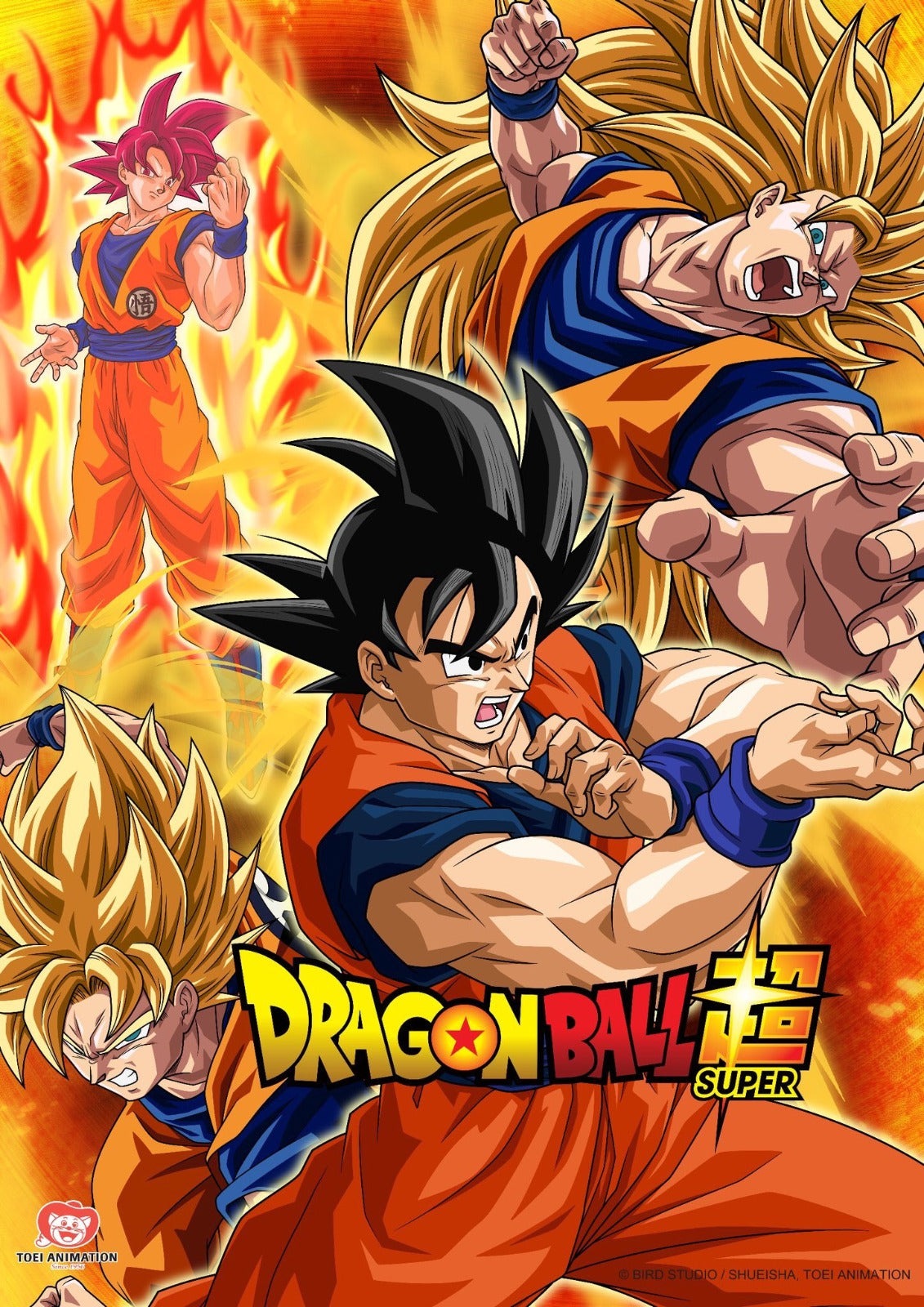 Mini Poster Dragon Ball Super