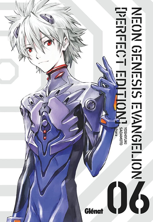 Neon Genesis Evangelion Perfect Edition - T06