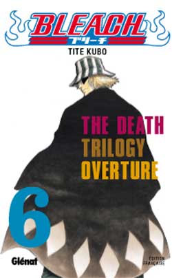 Bleach T06