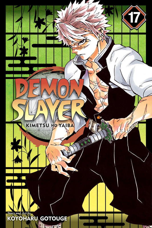 Occasion Demon Slayer: Kimetsu no Yaiba, Vol. 17 -EN-