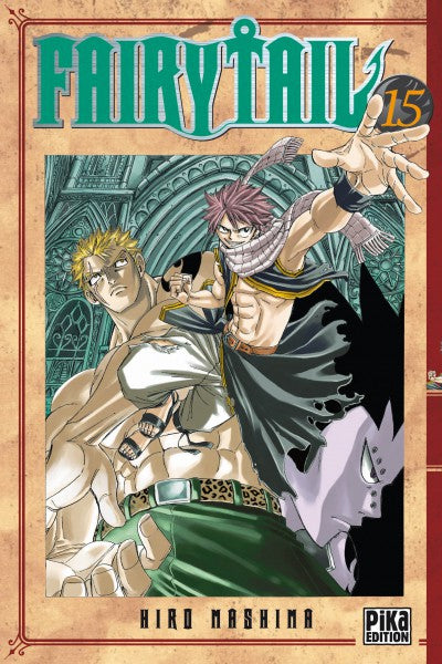 Occasion Fairy Tail T15