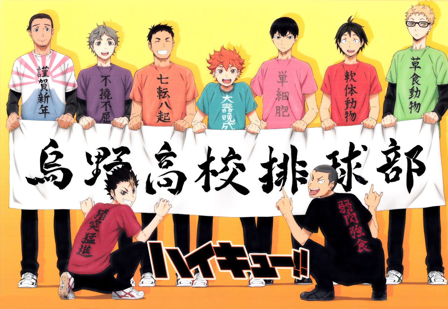 Poster Haikyuu!!