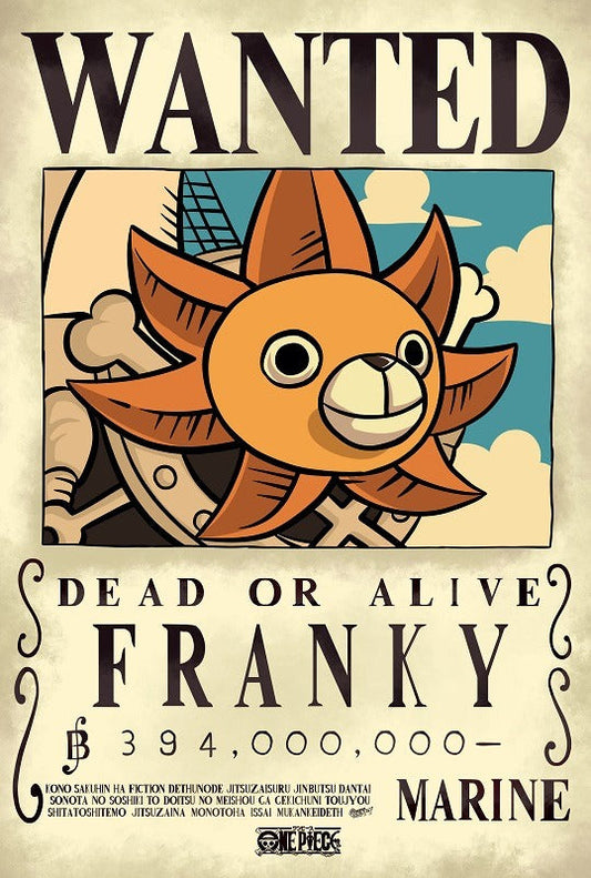 Mini Poster One Piece - Franky