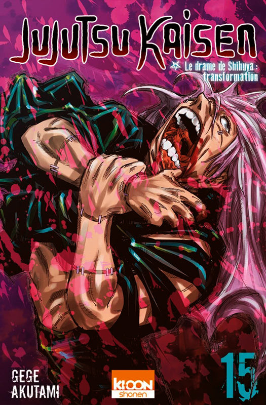 Jujutsu Kaisen T15