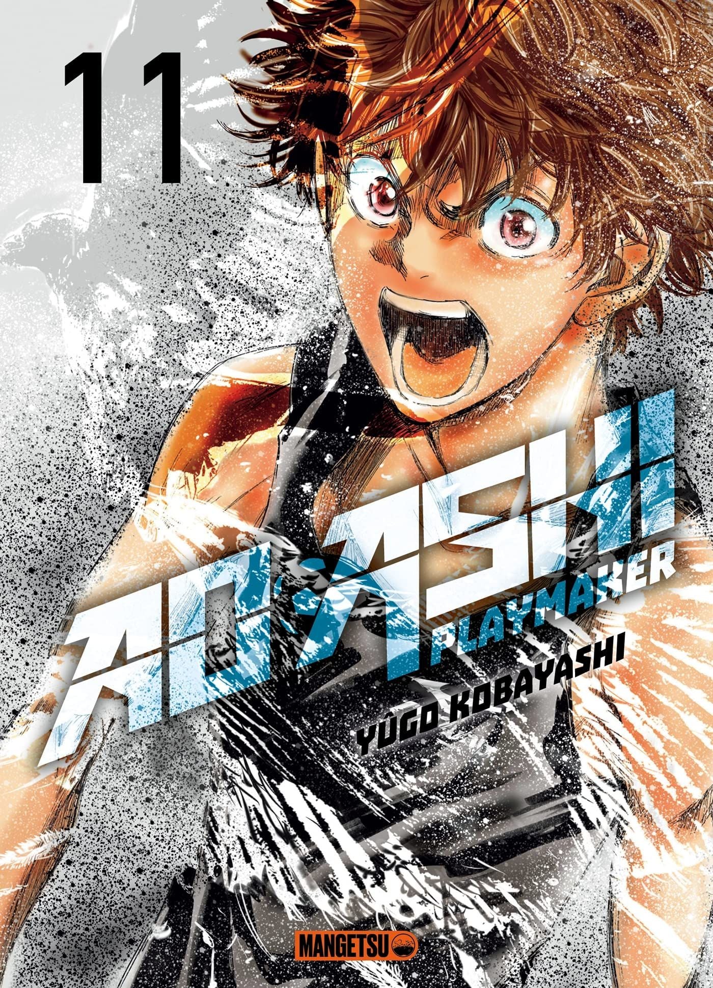 Ao Ashi Playmaker T11