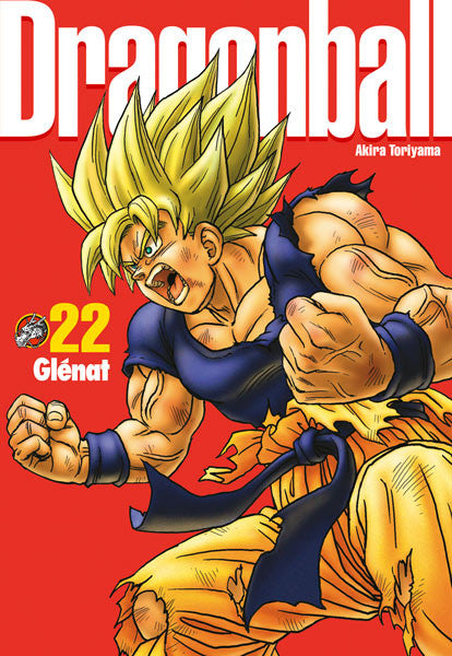 Occasion Dragon Ball - Perfect Edition T22