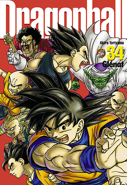Occasion Dragon Ball - Perfect Edition T34