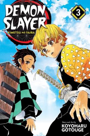 Occasion Demon Slayer: Kimetsu no Yaiba, Vol. 03 -EN-