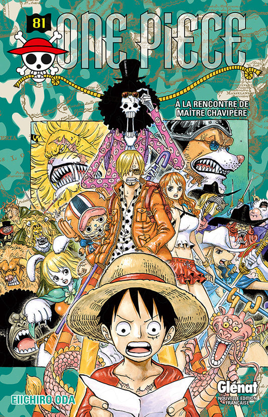 One piece T81